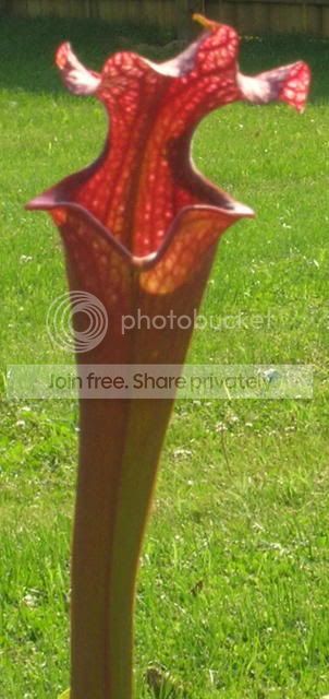 DSCN12302.jpg
