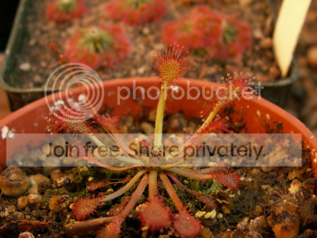 PICT0008.jpg