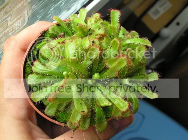 plants23.jpg