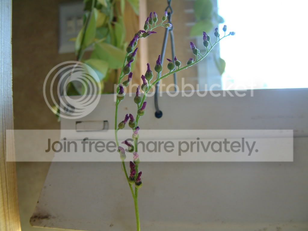 randomCPpictures013.jpg