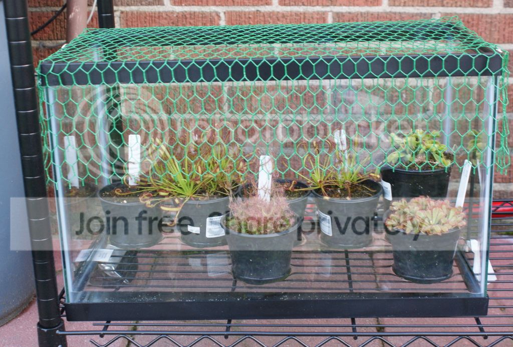 Outside%20Terrarium%20001.jpg