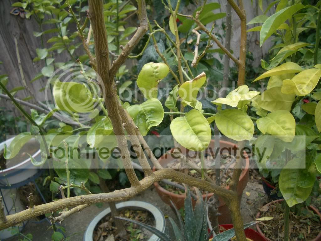 IMGP5845.jpg