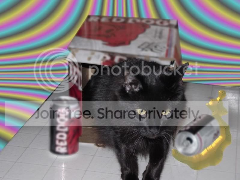 DSC00659drunk-copy.jpg