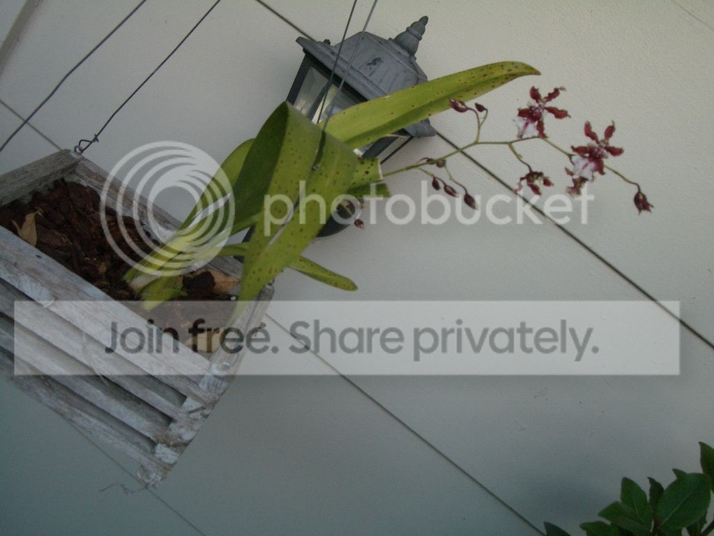 IMGP7456.jpg