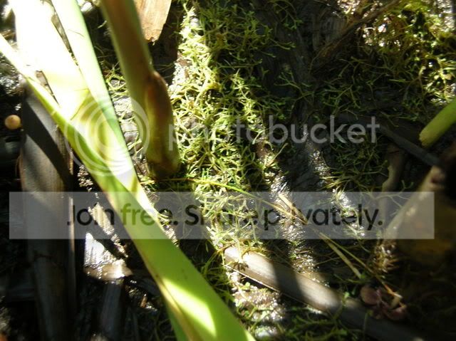 DSCN4670.jpg