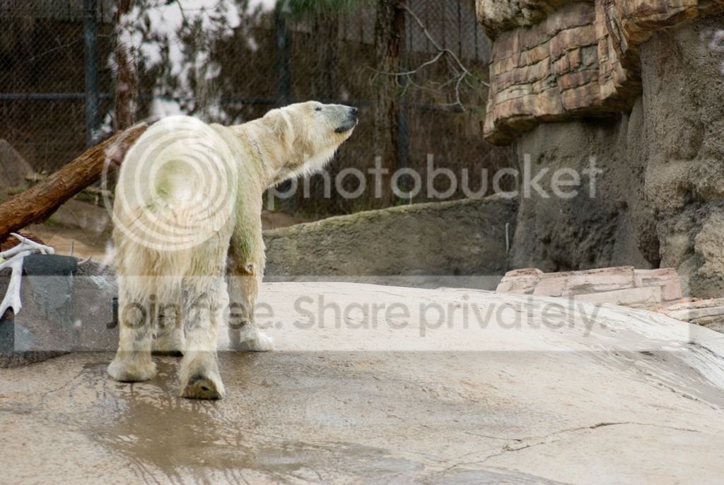IMGP3491_zpsunlhpfei.jpg