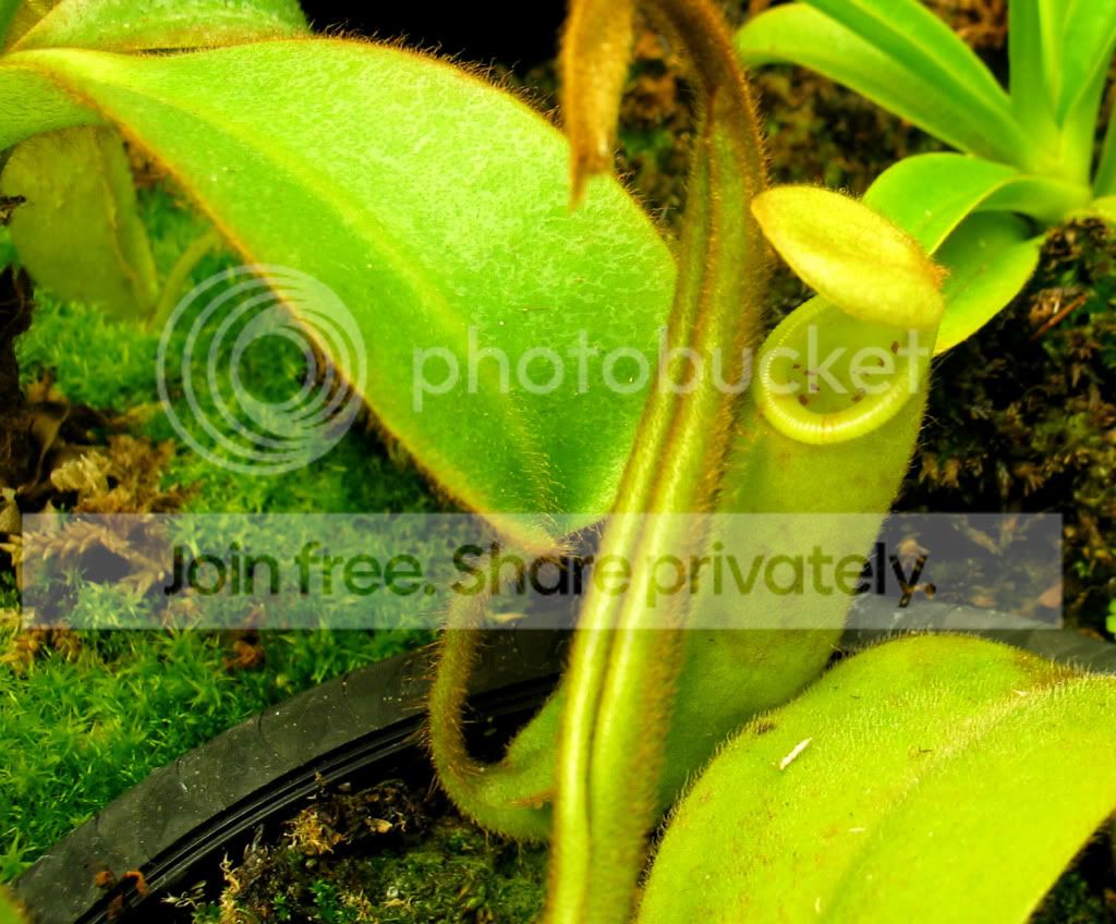 IMG_5787.jpg