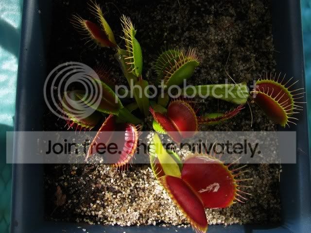 IMG_2879.jpg