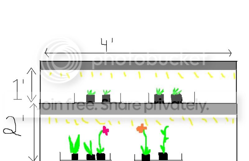 plantshelf.jpg