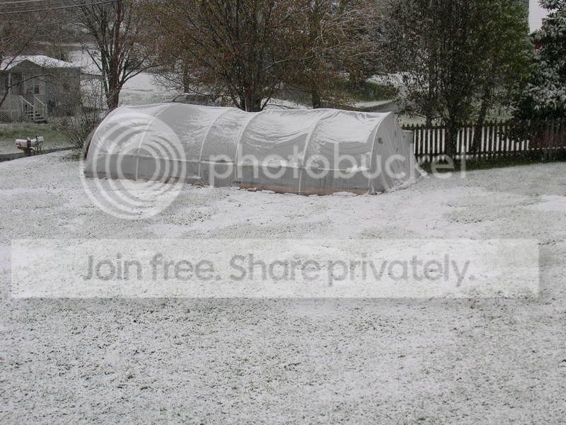 DSCN1155.jpg