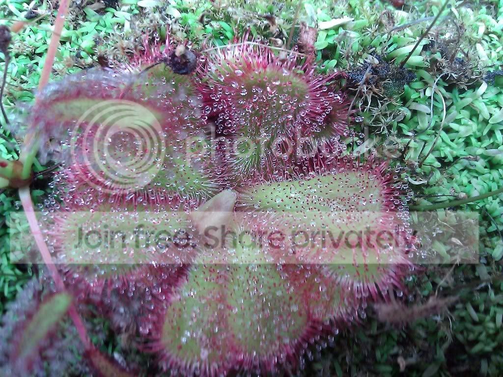 WP_000044.jpg