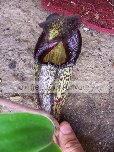 100_3966.jpg