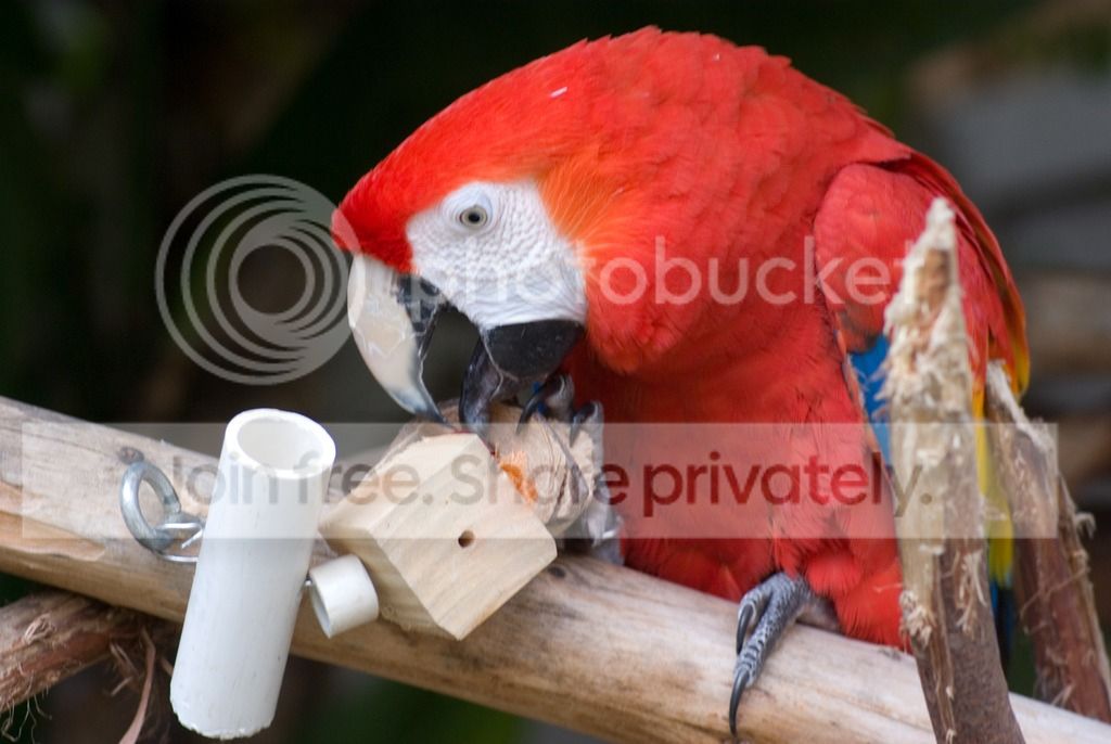 IMGP3309_zpswsrsjcvw.jpg
