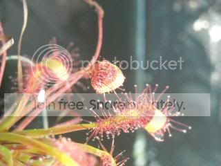DSCN0373-2.jpg