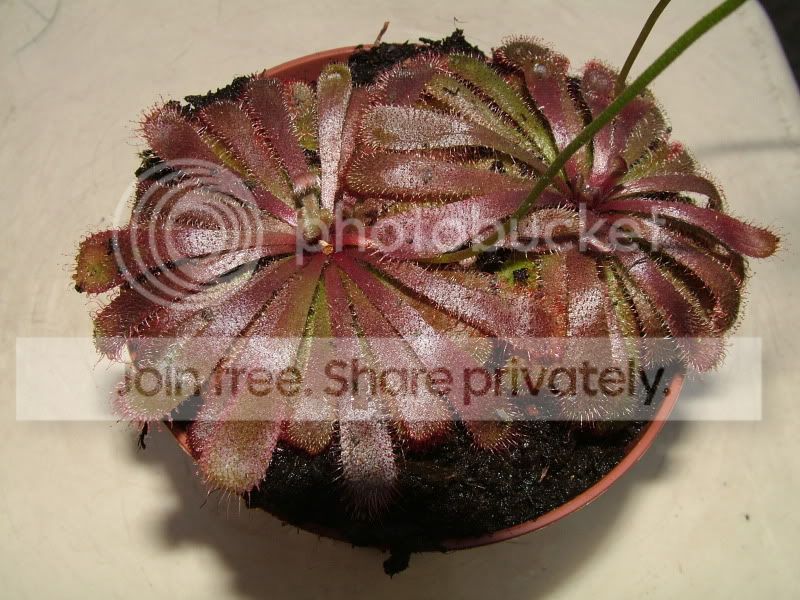 DSCF1047.jpg