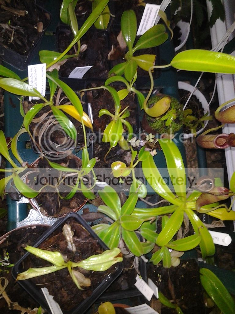 20120716_172639.jpg