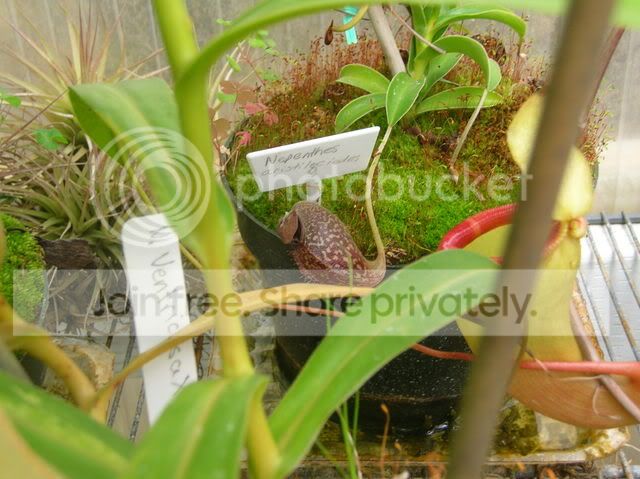 DSCN4409.jpg