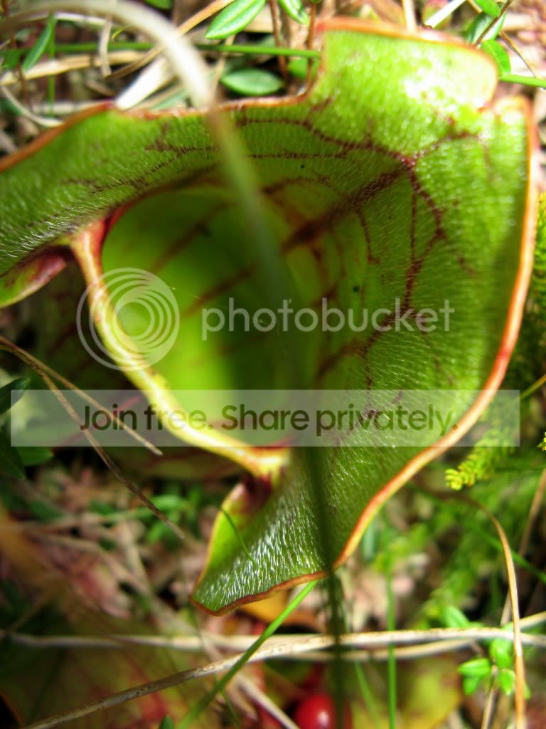 IMG_2835.jpg