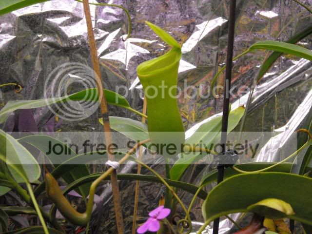 2009_11150001.jpg