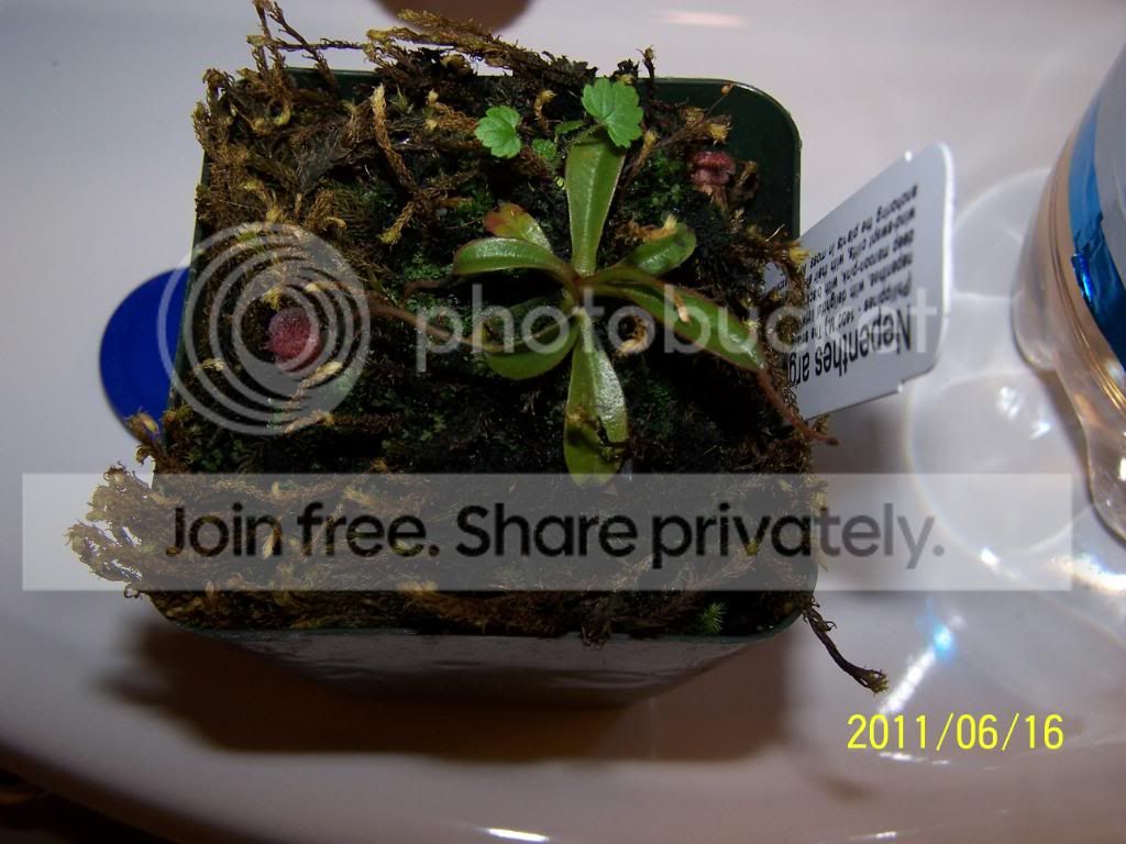 100_4657.jpg