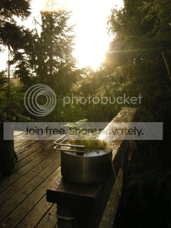 DSCN6354.jpg