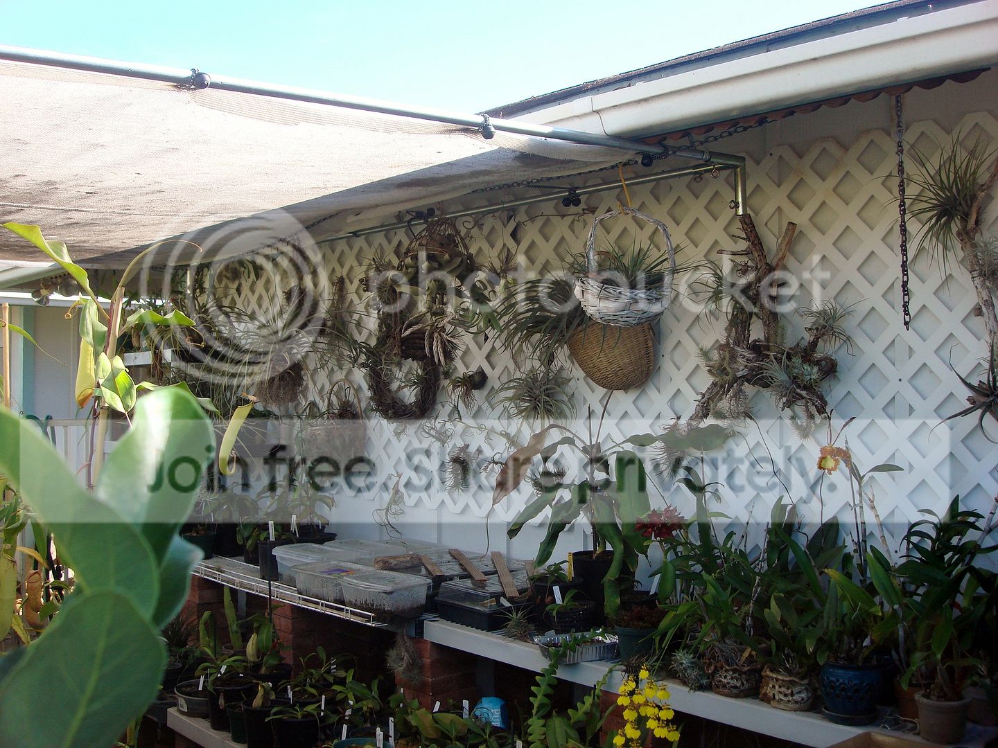 DSC07751.jpg