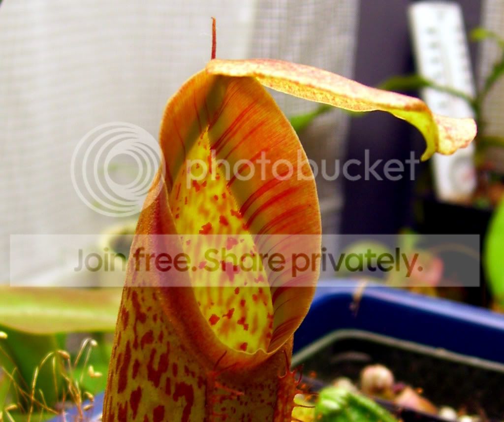 100_8008.jpg