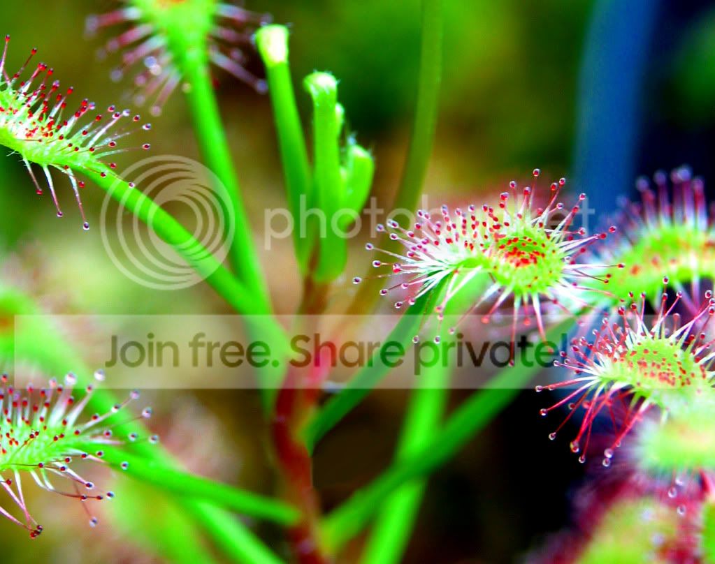 IMG_7359copy.jpg