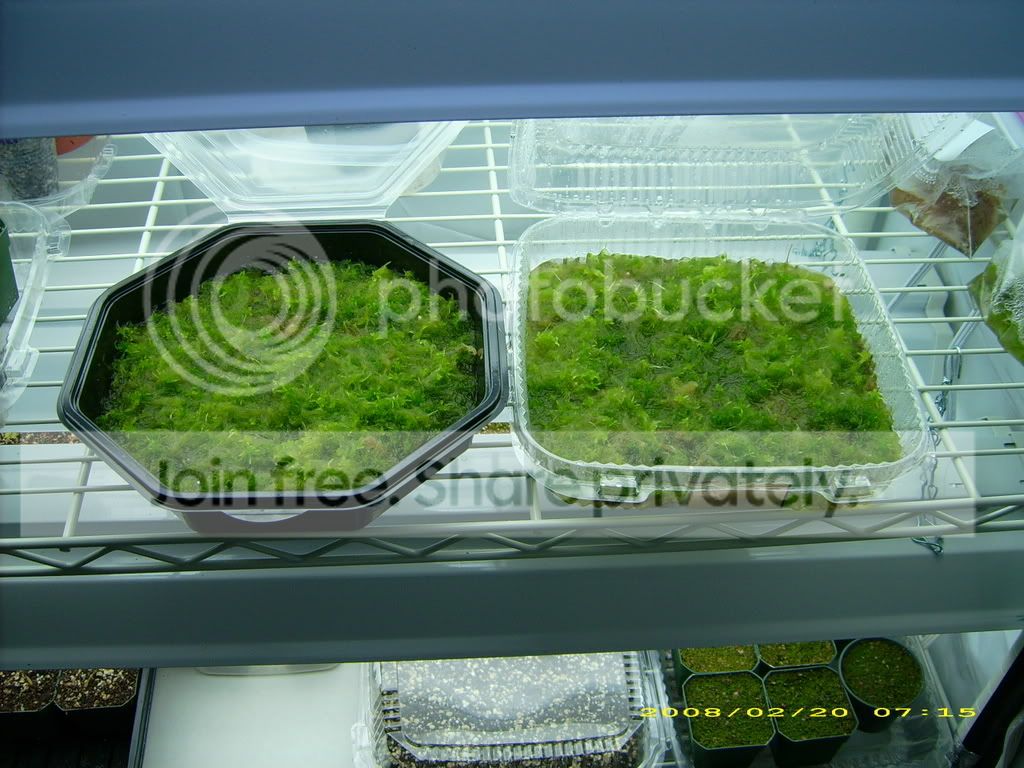 DSCI0466.jpg