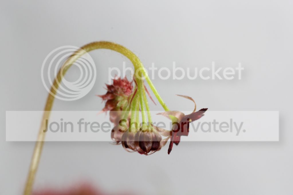 dfca58e79ffb1d44bd8829b73979f49f.jpg