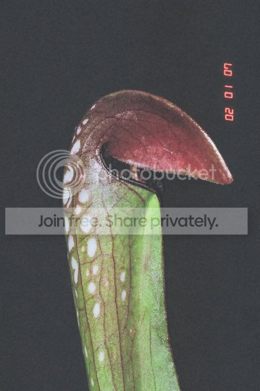 04200018.jpg