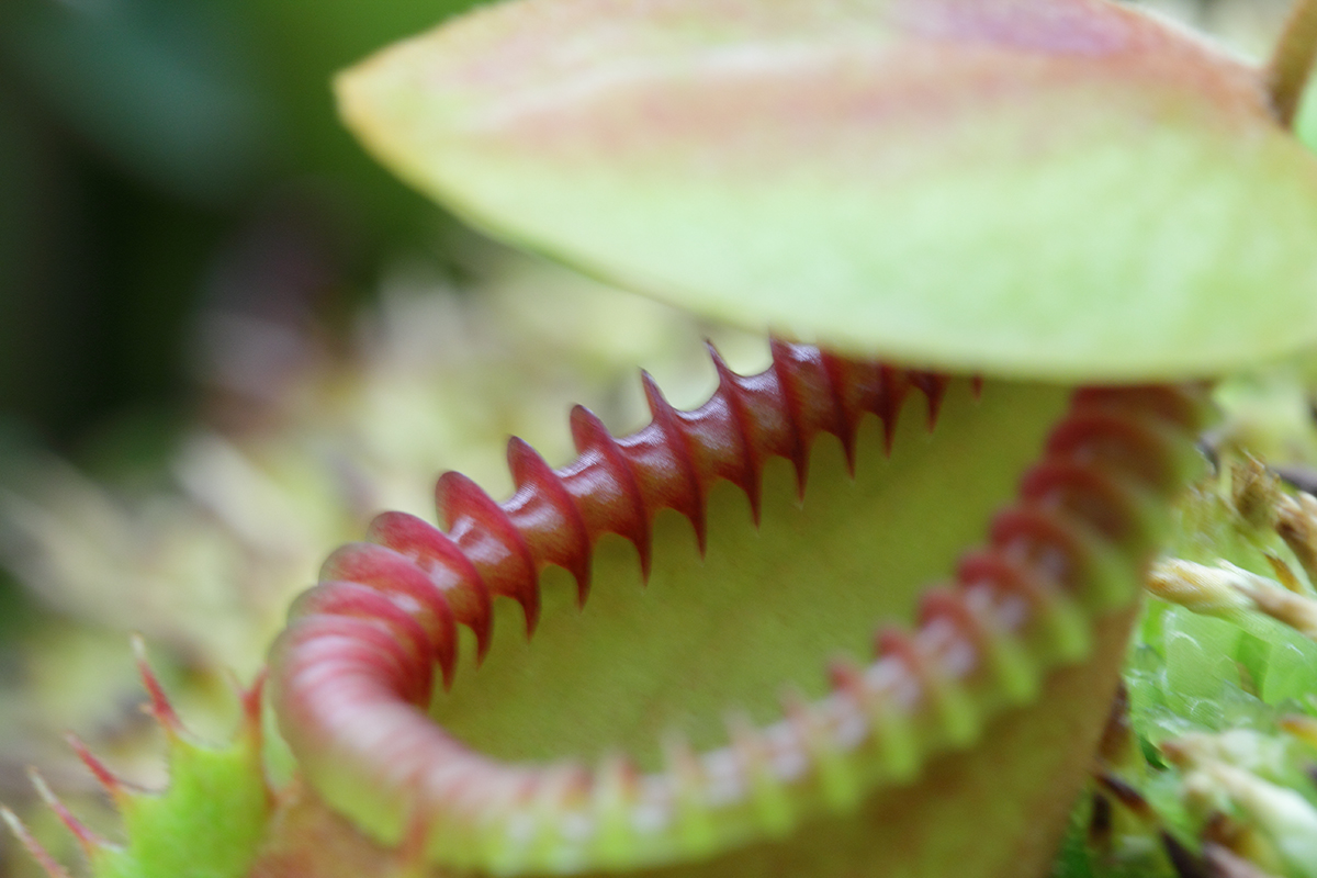 macro_april2013.jpg