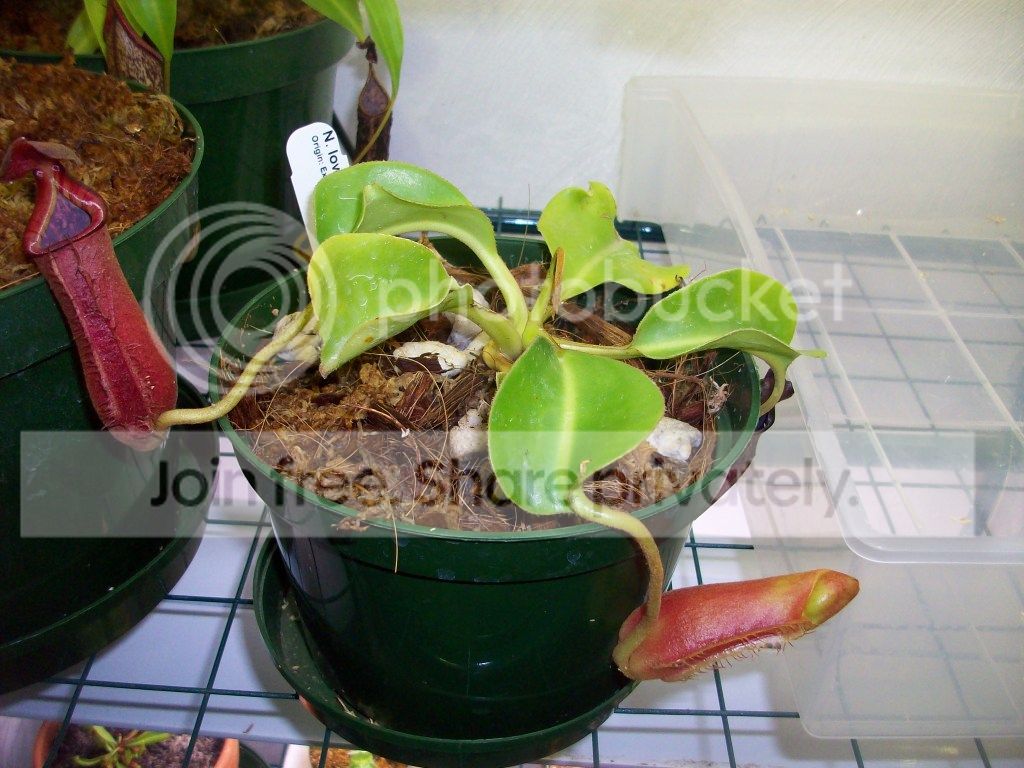 100_3870.jpg