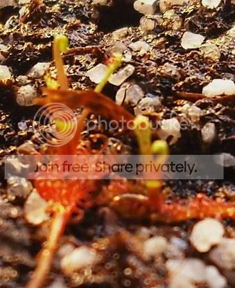 DSCF0015-6.jpg