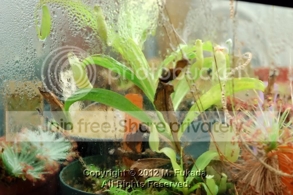 DSC_00230011_hf.jpg
