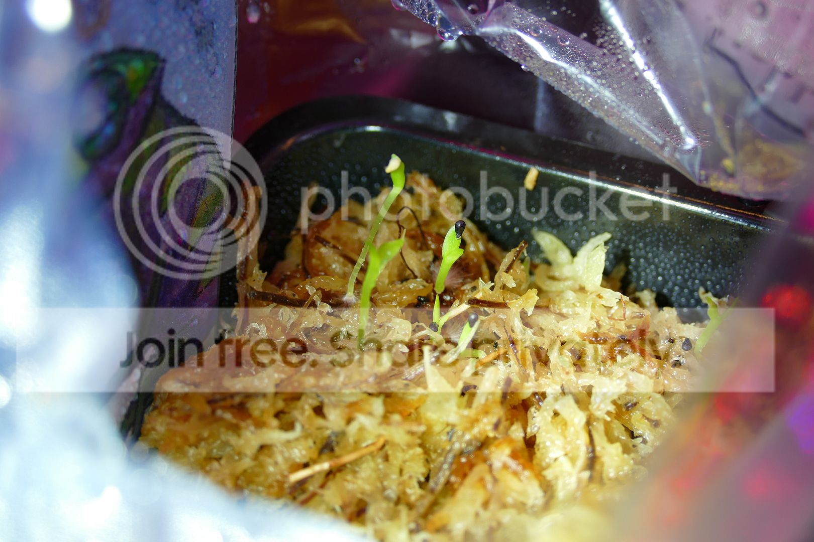 P1010579_zpszlo3pmcv.jpg