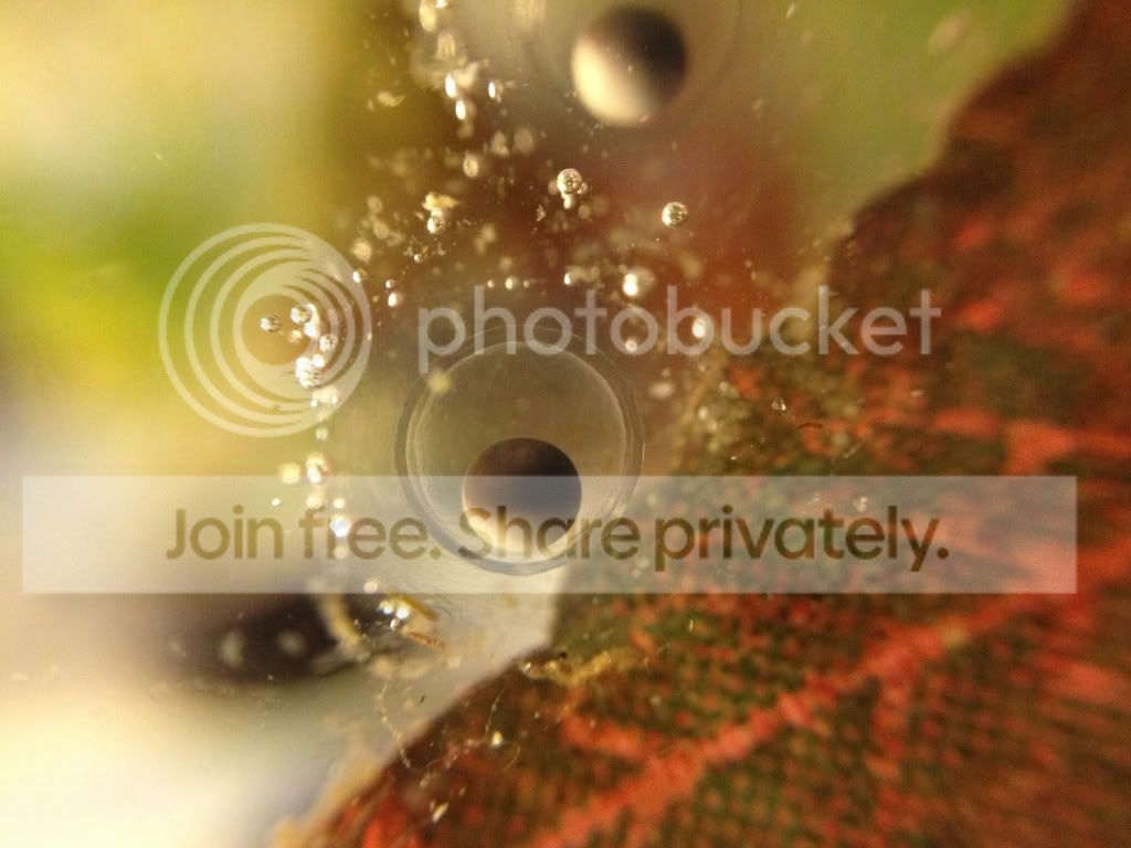 35bd45631813a689fc26c446c4e77655.jpg