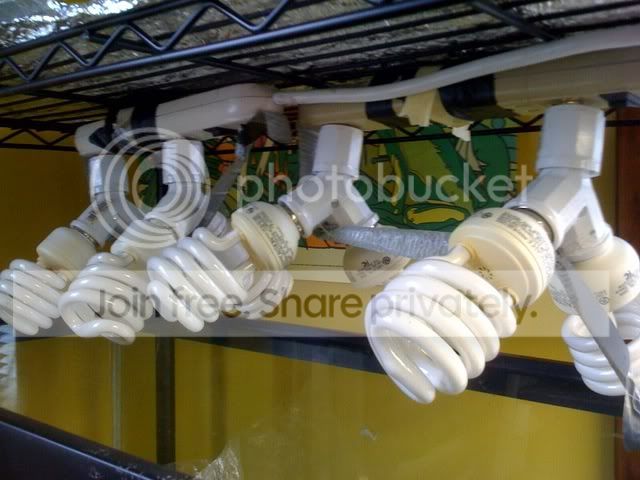 photo4.jpg