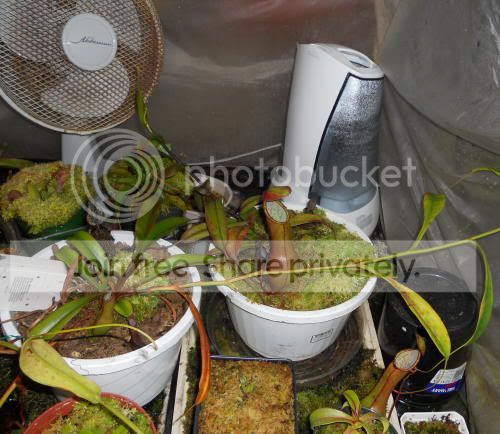 camber_5-17-11.jpg