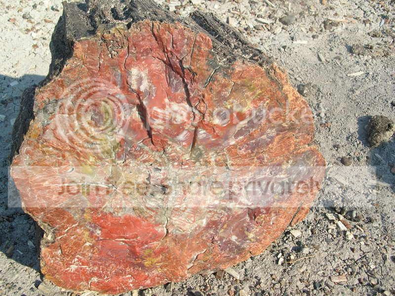 HW2_5278.jpg