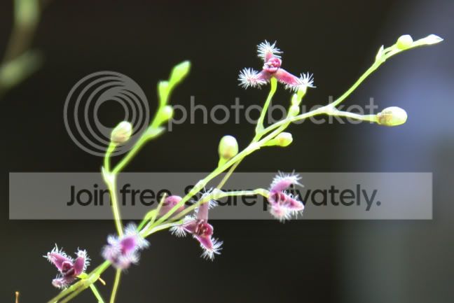 IMG_3123.jpg