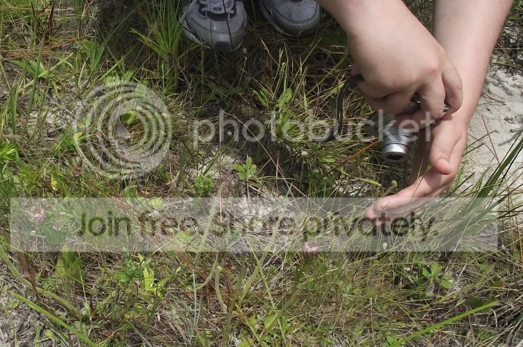 DSCF8294.jpg