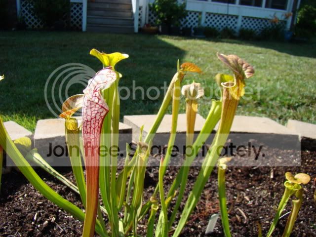 6-28-08036.jpg