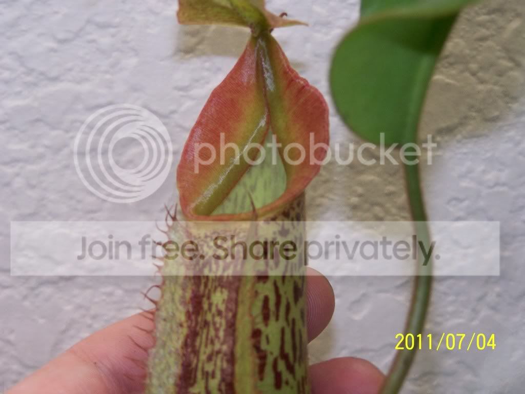 100_4760.jpg