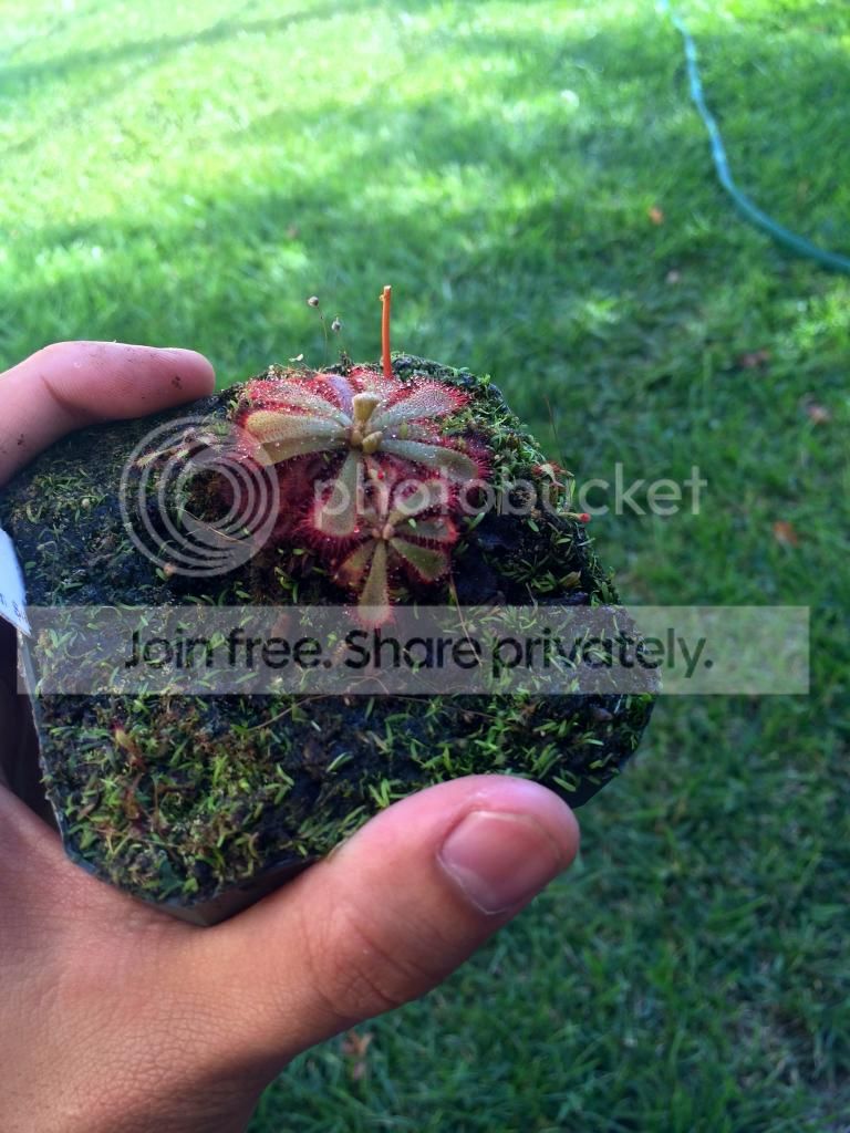IMG_2324_zps9a37db94.jpg
