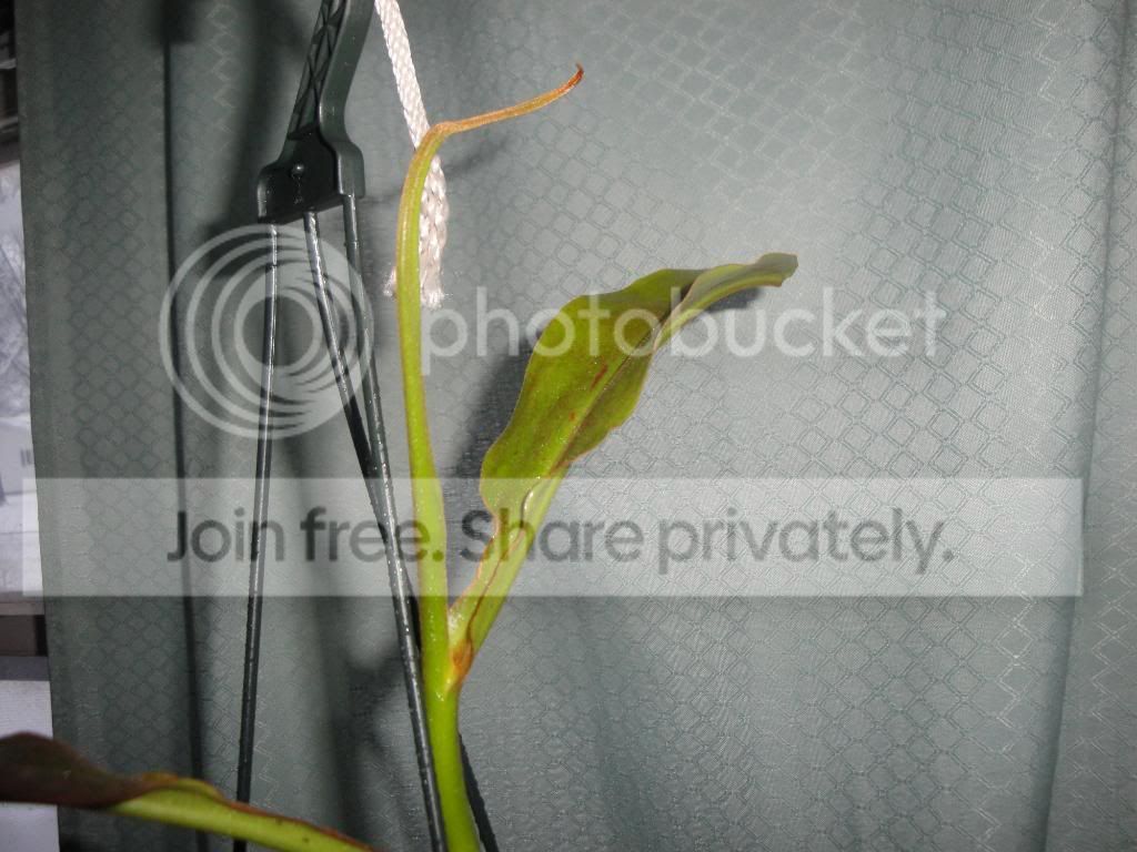 DSC03011.jpg