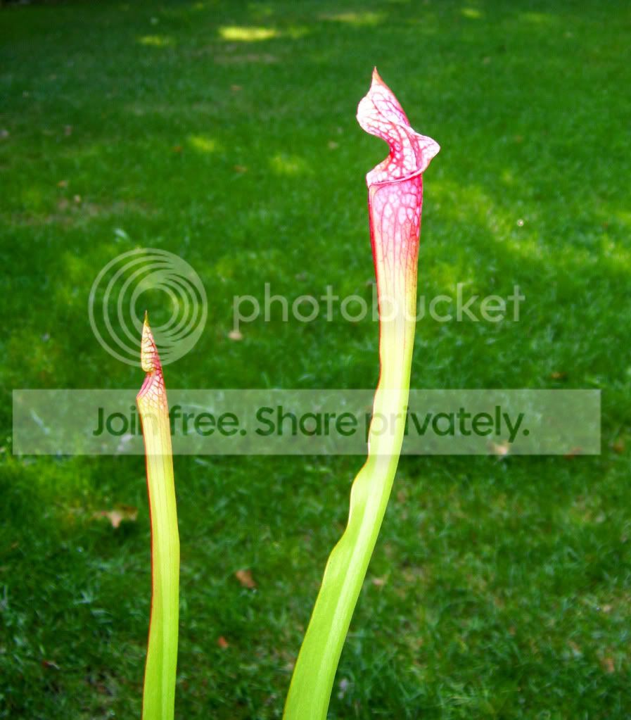 100_5545.jpg