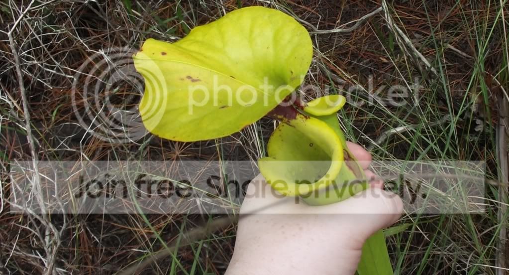 DSCF8058.jpg