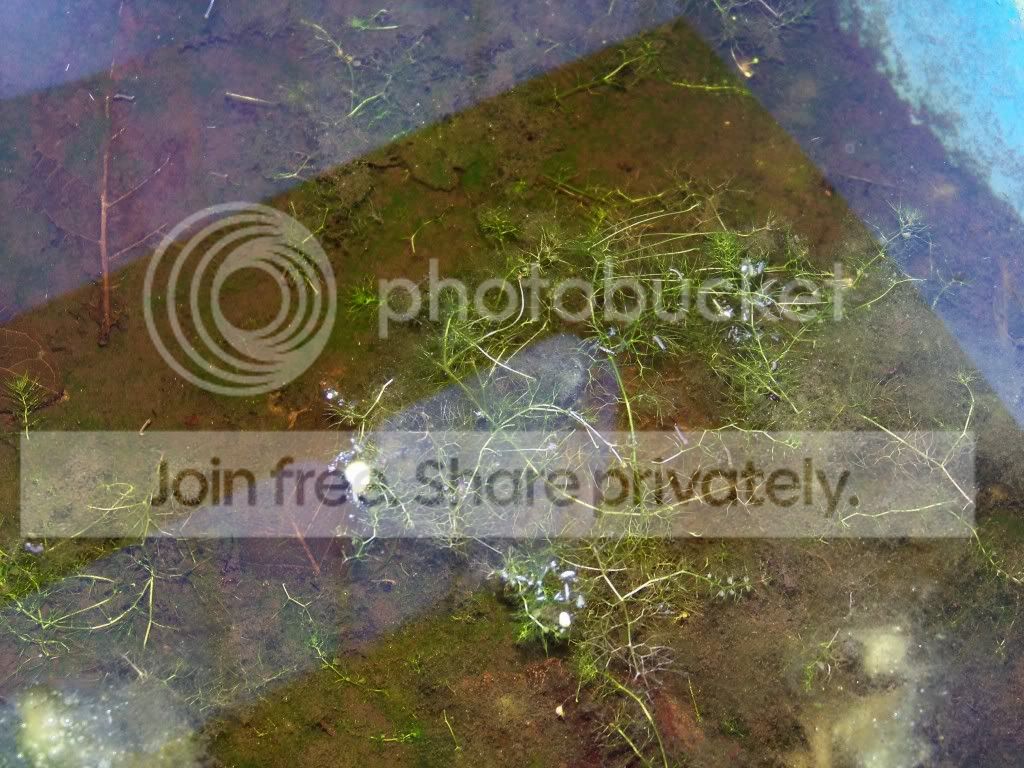 019-2.jpg