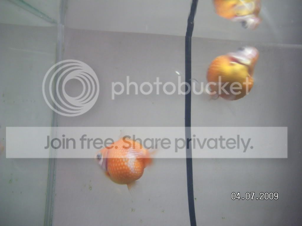 RIMG2348.jpg